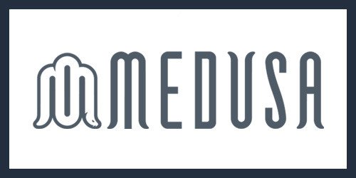 medusa carts store